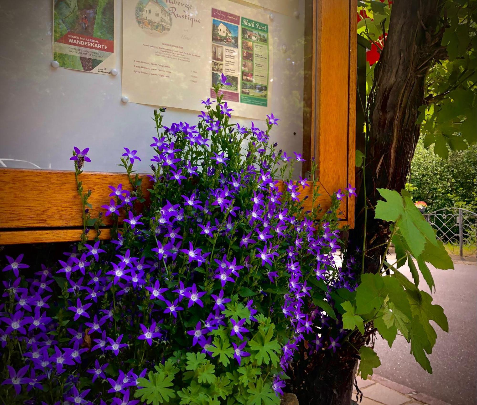 Hotel Auberge Rustique Beaufort Zewnętrze zdjęcie